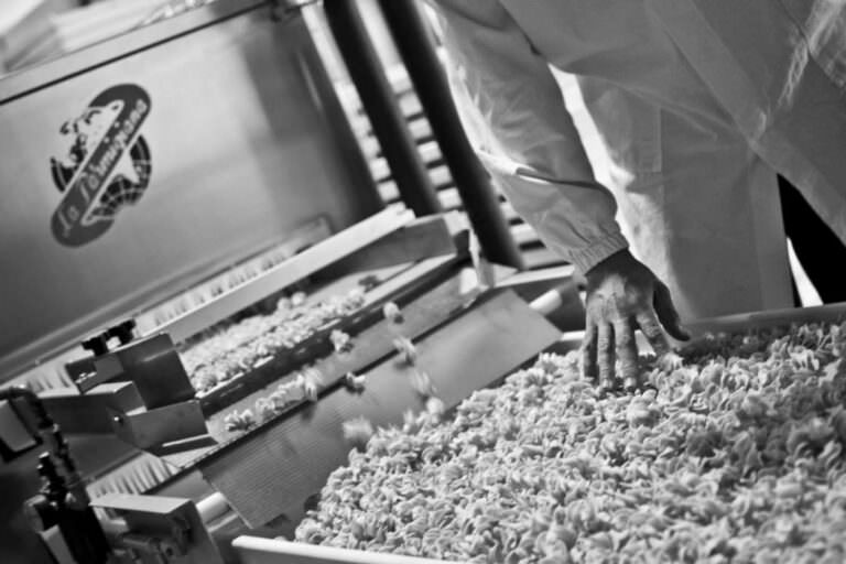 Pasta making at Floriddia company