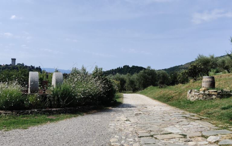 Vicopisano and its famous olive mill