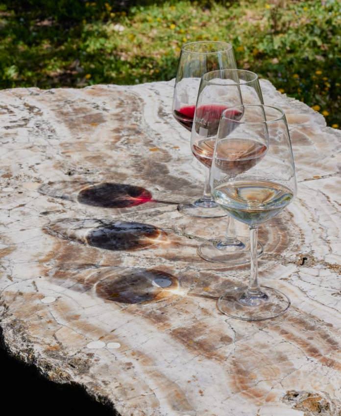 Wine tour to a winery in San Gimignano