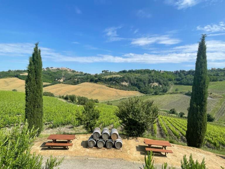 Wine tour with pasta making experience