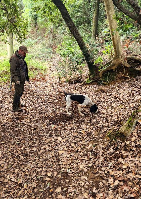 Daniele and Pato in the wood near Volterra