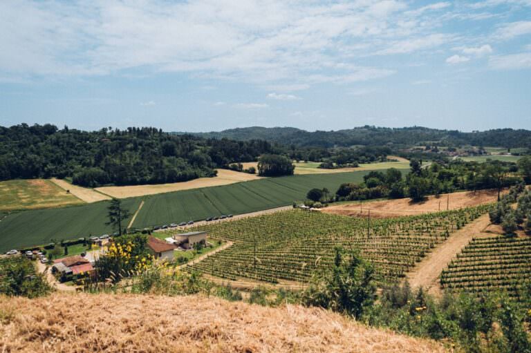 Wine event Degustandando