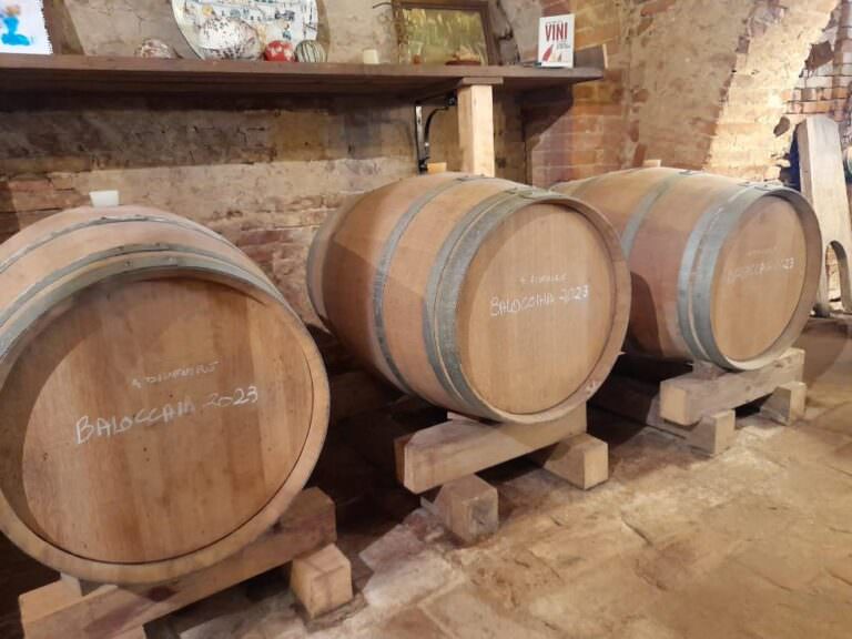 Wine ageing the wooden barrels