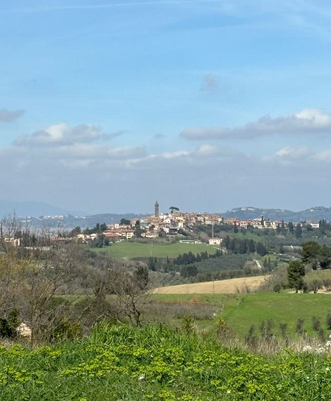 Hilltop town in the Terre di Pisa area