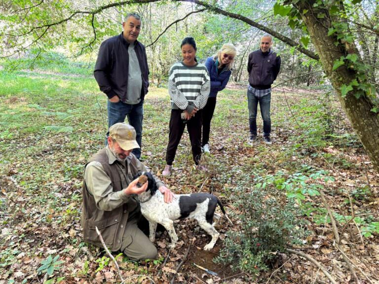 Truffle hunting experience near Volterra