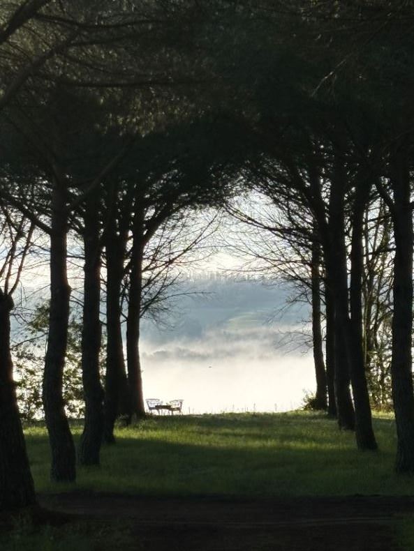 The wonderful location of the paint and palate activity