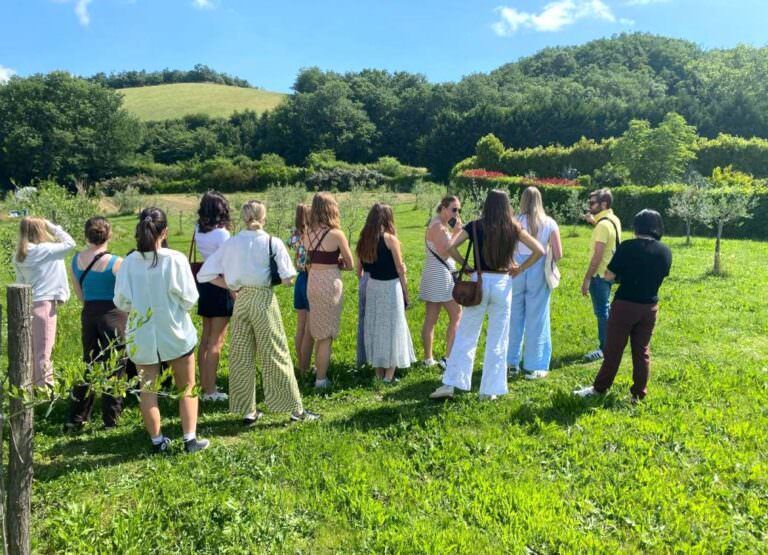 Olive oil explanation