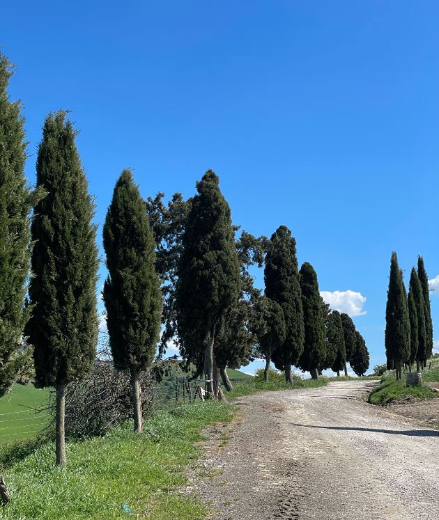 The beautiful entrance to the cheese farm in Volterra