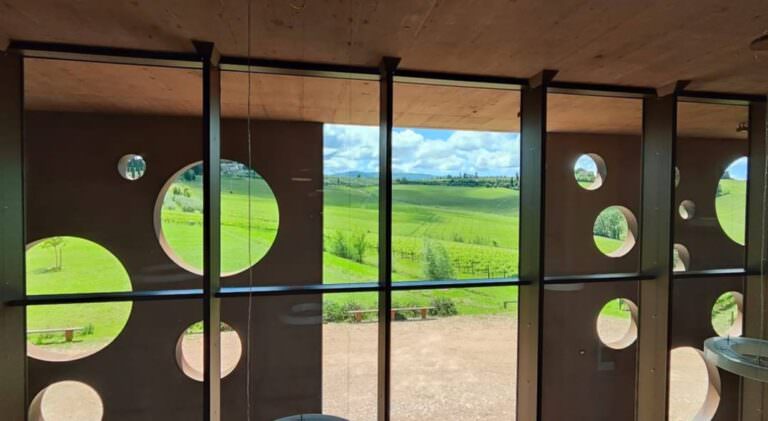 The view from the winery in the Terricciola wine area