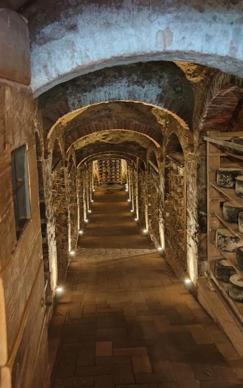Cheese grotto with aged cheeses