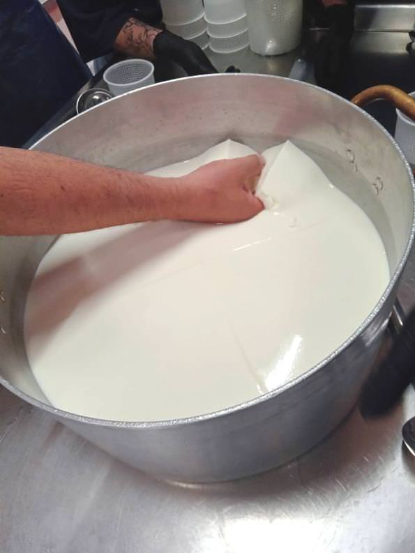 Pecorino cheese tour near Volterra