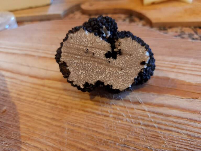 Truffle hunting experience at Rita's farm