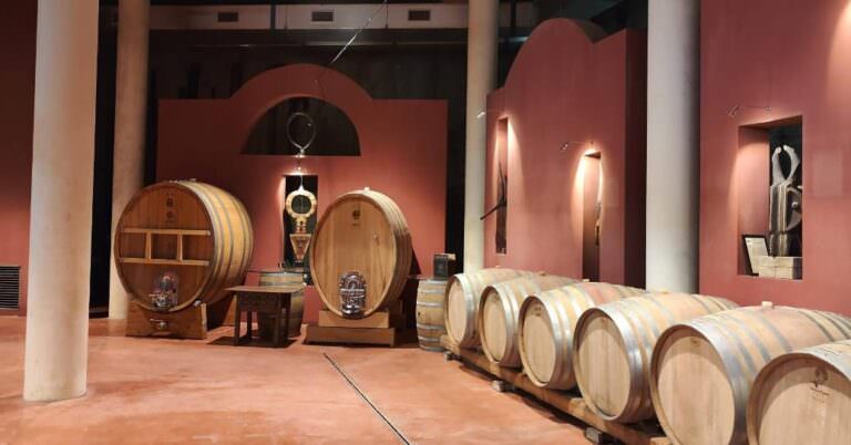 Guided wine tasting to a contemporary winery located near the village of Peccioli