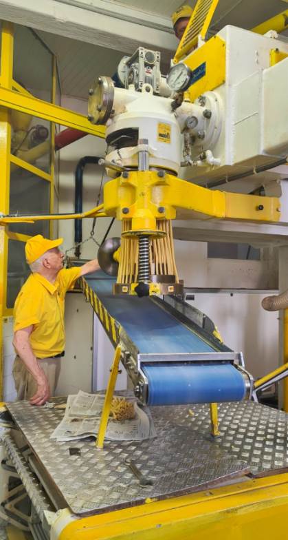 Maccheroni making at Martelli's company