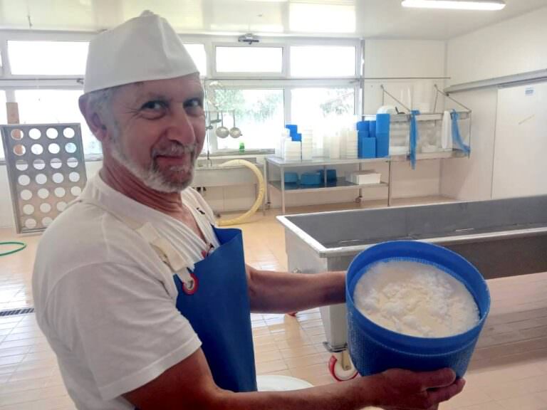 Fresh ricotta and pecorino cheese made at the cheese factory near Volterra