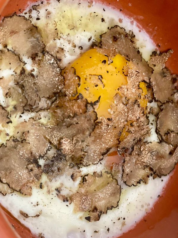 Truffle lunch in Volterra