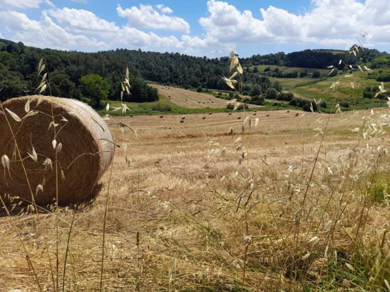 The beautiful scenery of the Tuscan countryside