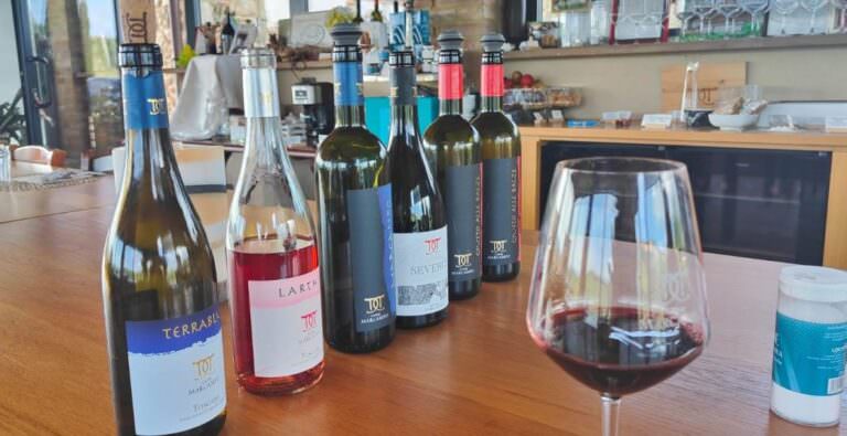 Cheese and wine tasting in Volterra area