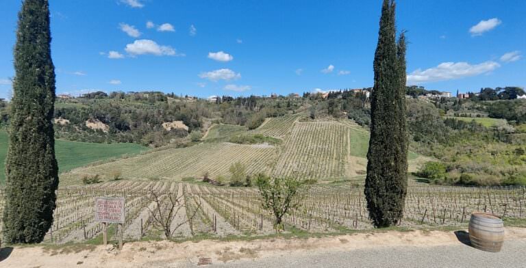 Wine and cooking class in Terricciola