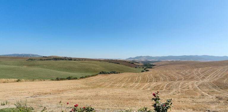 Wonderful view over the Pisan hills