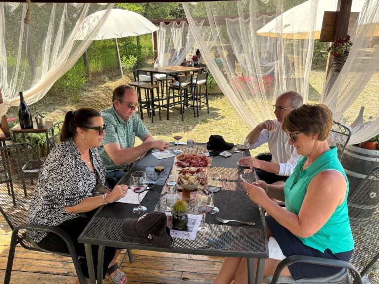 Wine experience in Terricciola