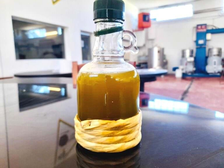 The olive oil just made