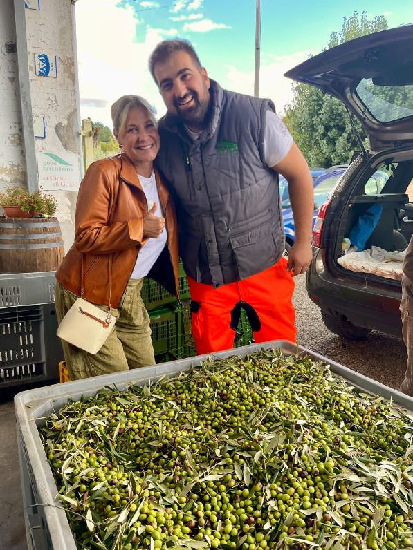 Olive harvest experience in Tuscany