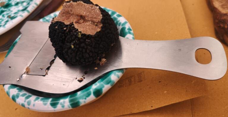 Black truffle experience