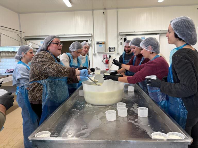 Pecorino cheese tour