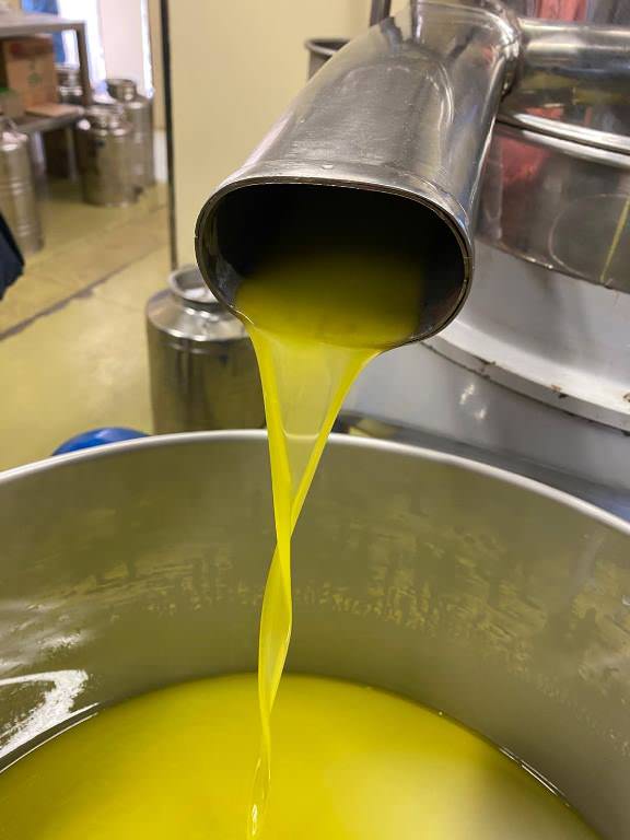 Olive oil experience at an Olive oil mill