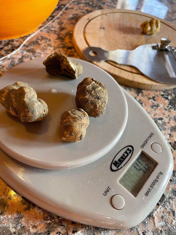 Truffle based cooking class