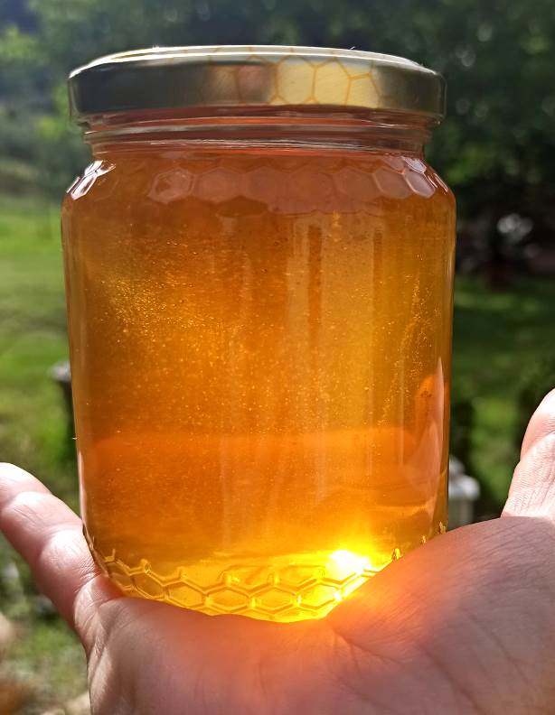 Tasting of fresh honey at the a local farm