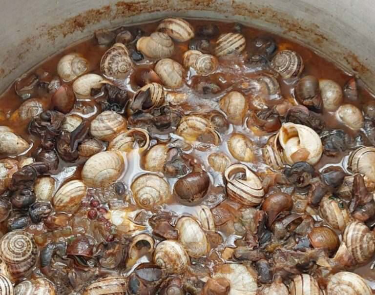 Typical snail soup