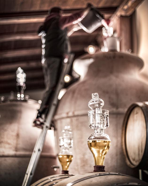 A guided visit to the winery near Santa Luce making Supertuscan wines