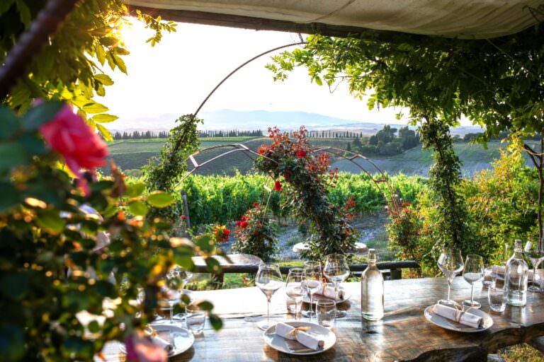 Wine tasting with view