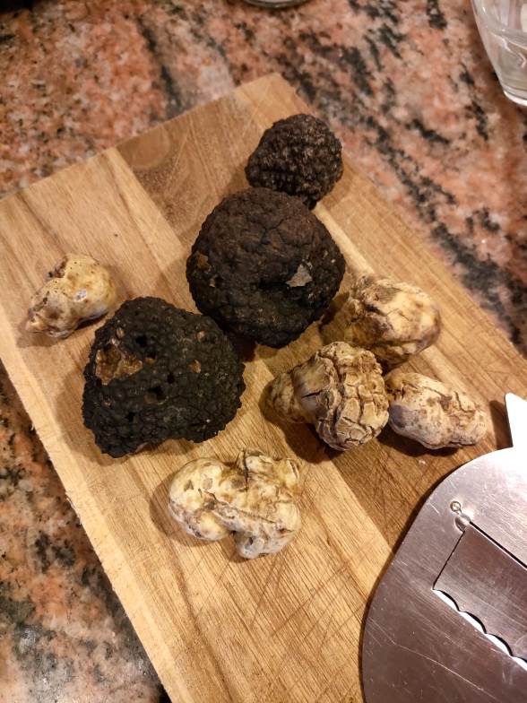 Truffle experience at Tempio di Minerva farm