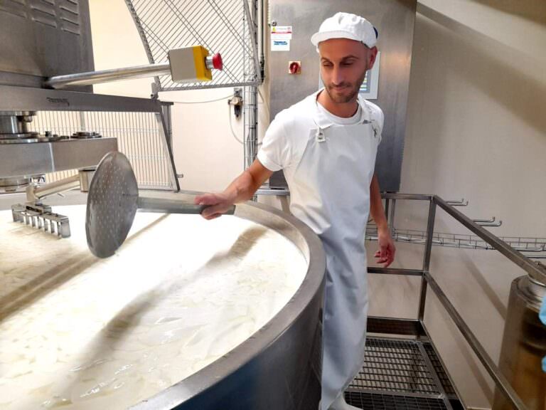 Cheese tasting experience