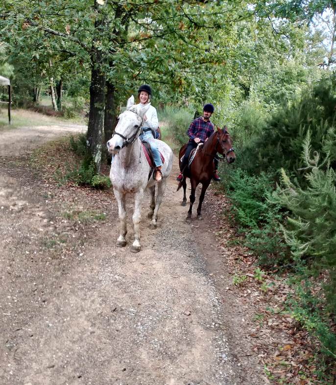 Horse experience in the area of casciana terme/lari