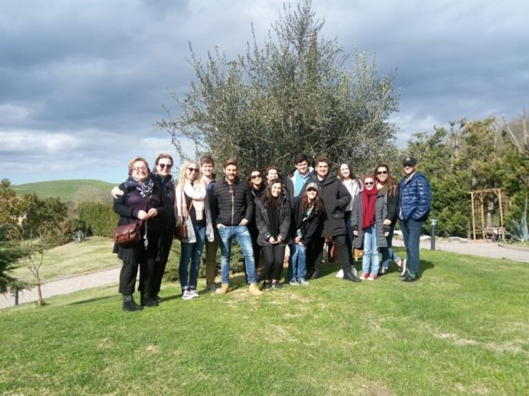 Private olive oil tour near Volterra