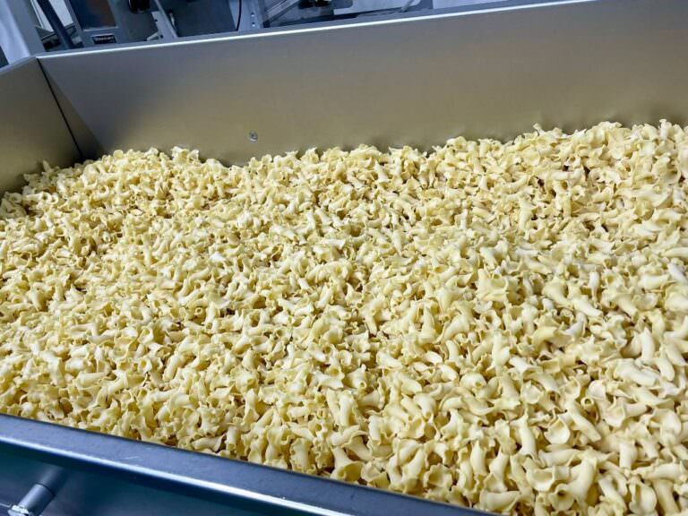 The maltagliati shaped pasta made at the pasta company in San Romano