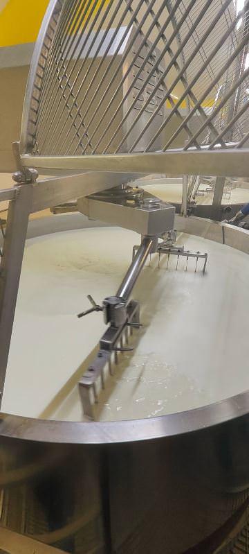 Cheese tasting experience