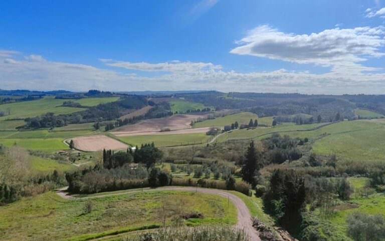 Typical Tuscan view from Peccioli