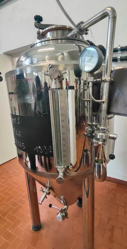 Cheese and beer tasting experience