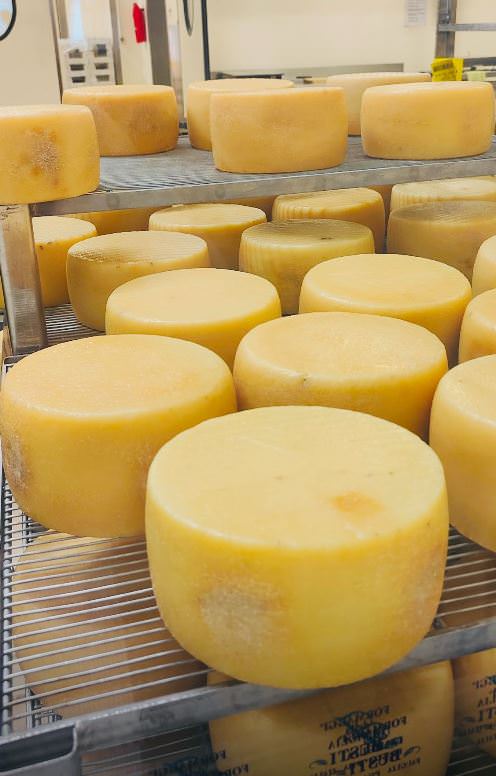 Private pecorino cheese experience