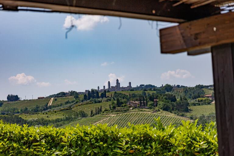 Saffron and wine tour with typical tasting