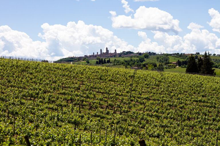 Wine tasting with view in San Gimiganno
