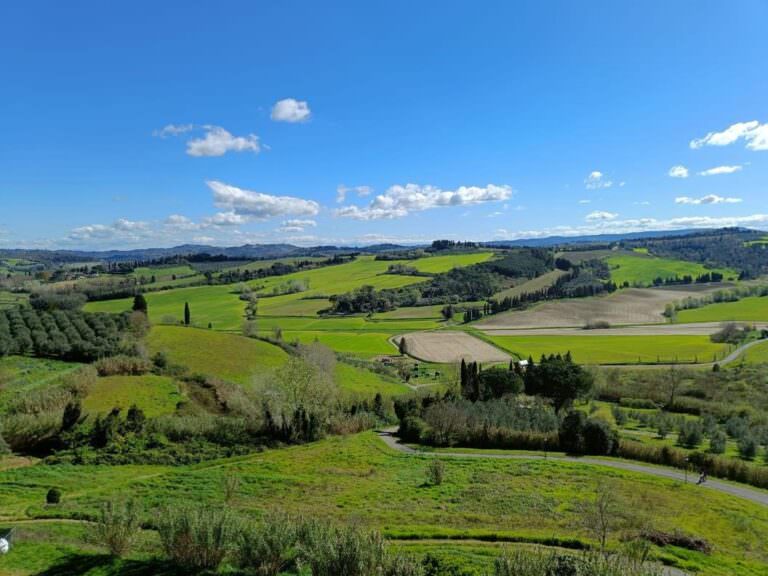 View over the Pisan hills