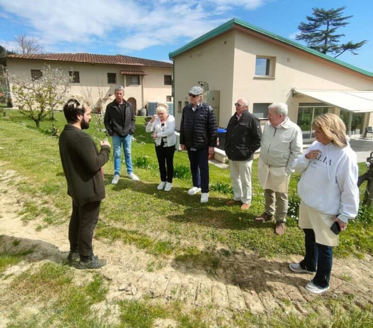 Wine experience at Agrisole winery