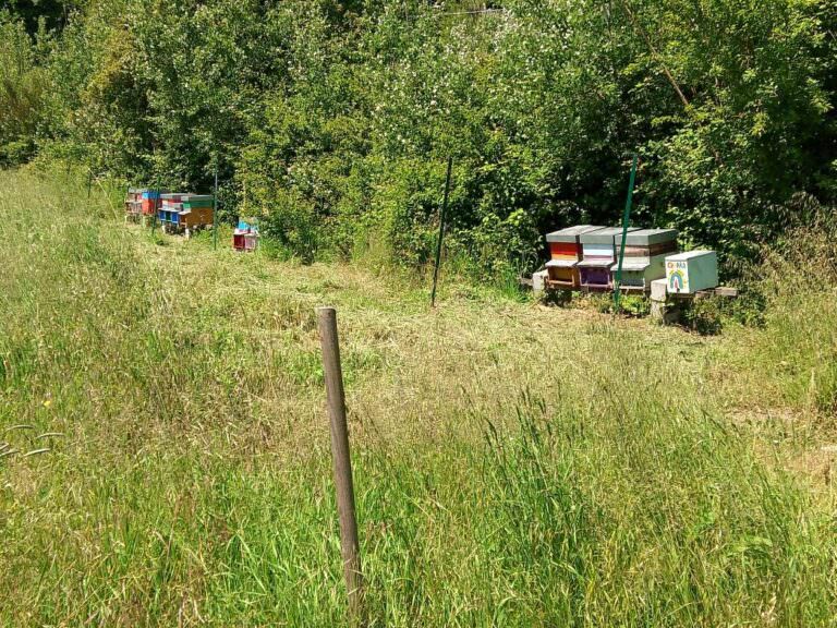 Olive oil, saffron and honey