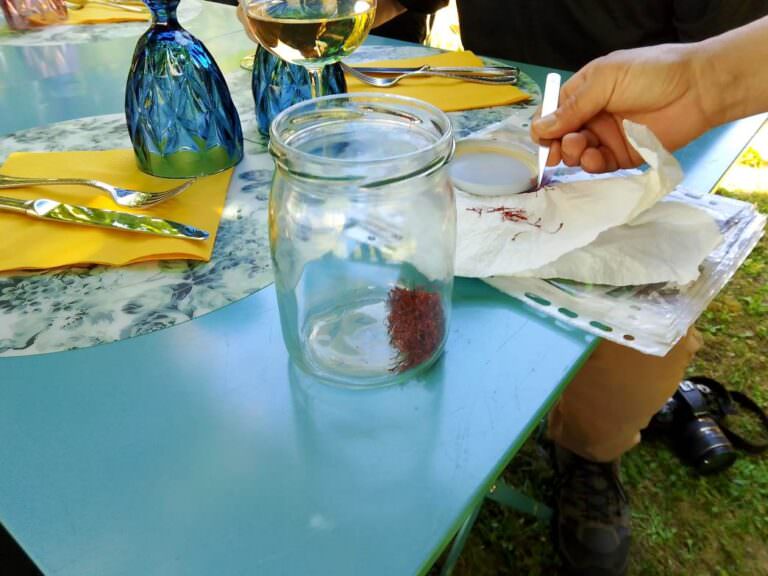 Typical Tuscan experience focused on saffron